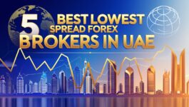 5 Best Lowest Spread Forex Brokers in UAE